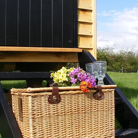 Dinton  Marshwood Farm B&B And Shepherds Hut מראה חיצוני תמונה