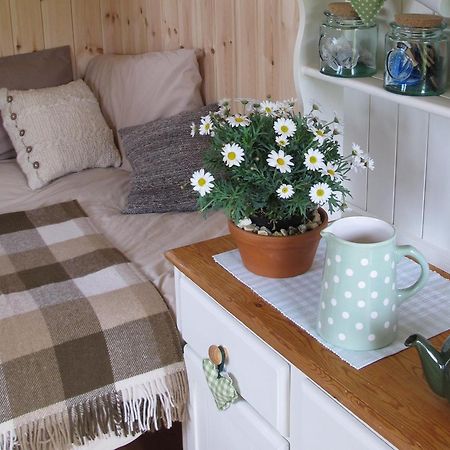 Dinton  Marshwood Farm B&B And Shepherds Hut מראה חיצוני תמונה