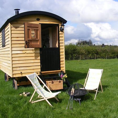 Dinton  Marshwood Farm B&B And Shepherds Hut מראה חיצוני תמונה