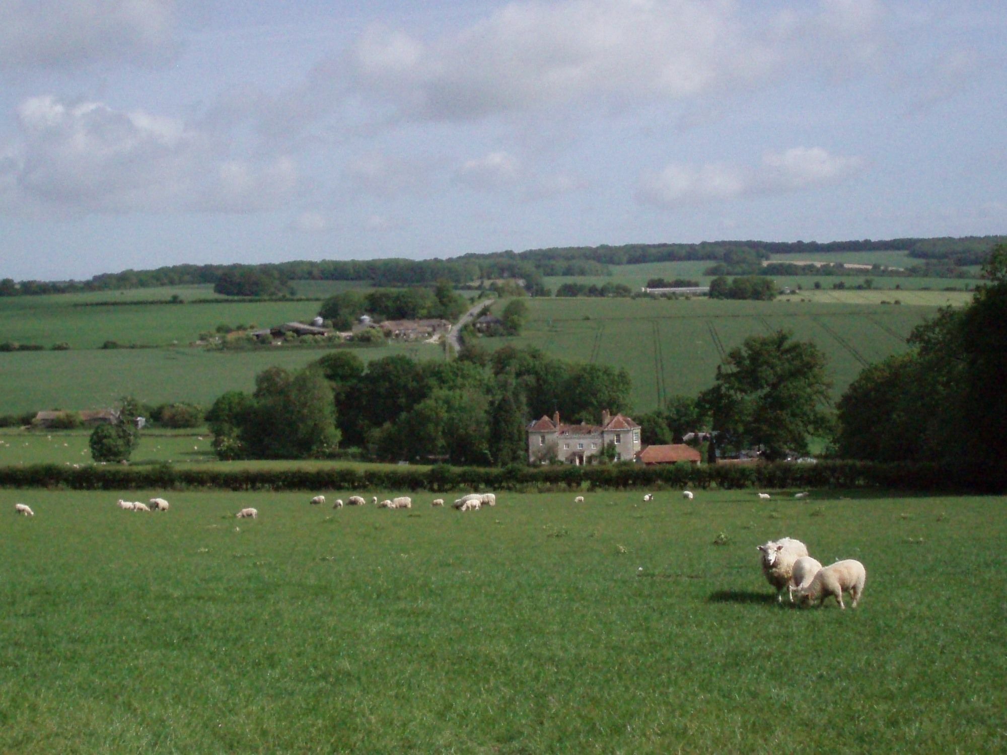 Dinton  Marshwood Farm B&B And Shepherds Hut מראה חיצוני תמונה